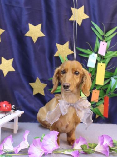 20230702しろくん